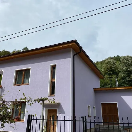 остриля * Cherni Vit