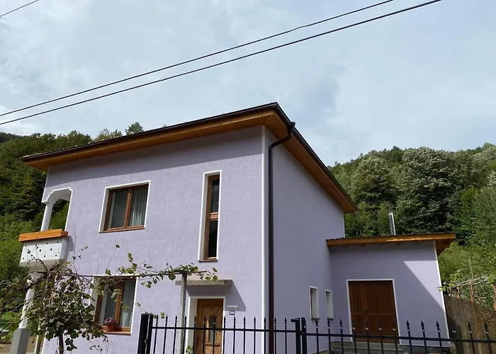 остриля * Cherni Vit